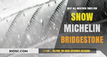 Top Picks for All-Weather Tires: Michelin and Bridgestone's Best for Snowy Conditions