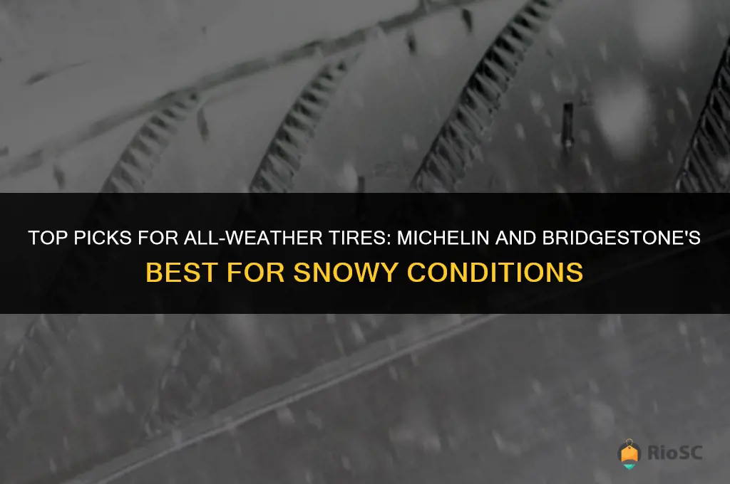 best all-weather tires for snow michelin bridgestone