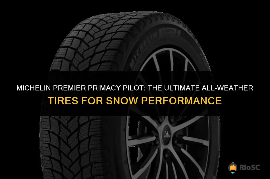 best all-weather tires for snow michelin premier primacy pilot
