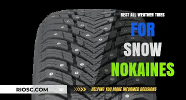 Top All-Weather Tires for Snow: Nokian's Finest Picks