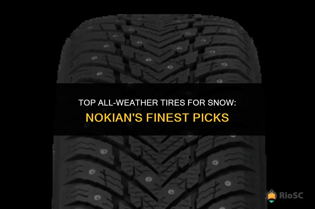 best all weather tires for snow nokaines