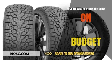 Top Budget-Friendly All-Weather Tires for Snowy Conditions