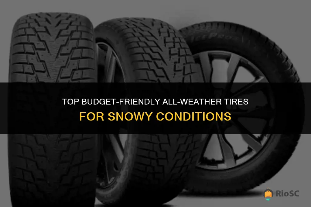 best all weather tires for snow on a budget