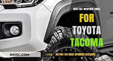 Top All-Weather Tires for Toyota Tacoma: Performance and Durability in Any Condition