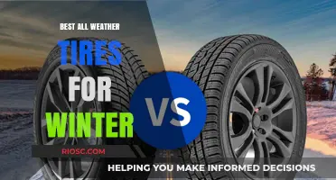 Top Picks for All-Weather Tires: Winter Ready Performance