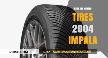 Top Winter Tire Picks for Your 2004 Impala: Stay Safe and Stylish on the Road