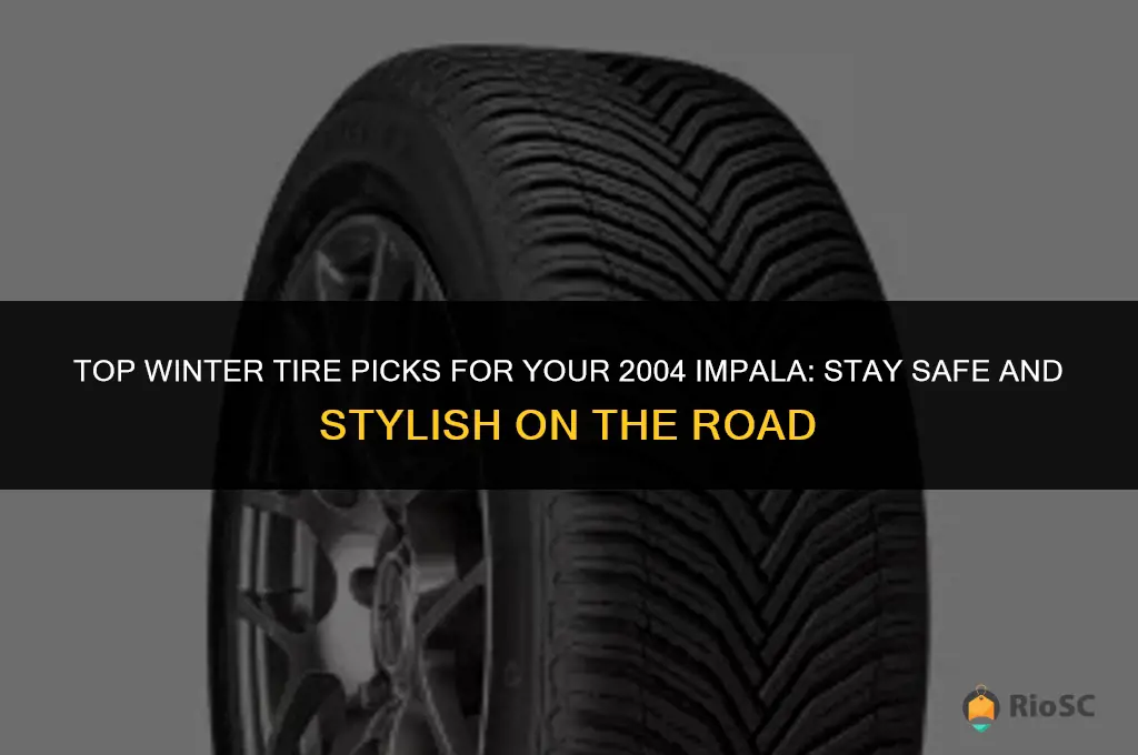 best all winter tires 2004 impala