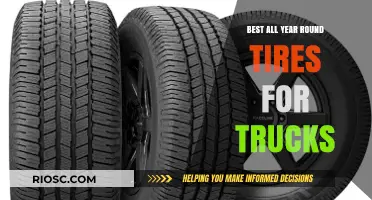 Top-Rated All-Season Truck Tires: Reliable Performance for Every Condition