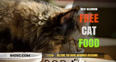 Top Picks for Allergen-Free Cat Food: Keep Your Feline Friend Healthy and Happy