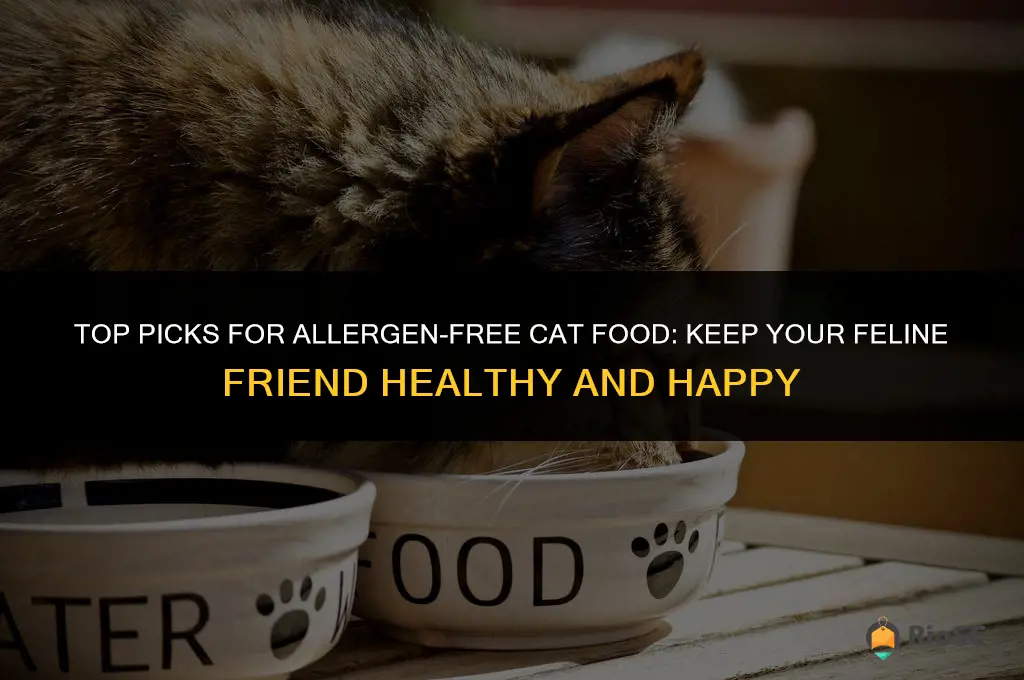 best allergen free cat food
