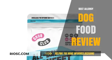 Top Picks for Allergy-Friendly Dog Food: A Comprehensive Review