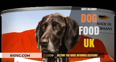 Top Picks for Allergy-Friendly Dog Food in the UK: A Comprehensive Guide