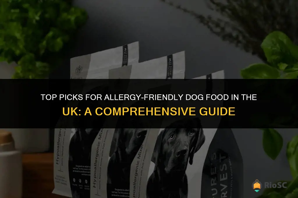 best allergy dog food uk