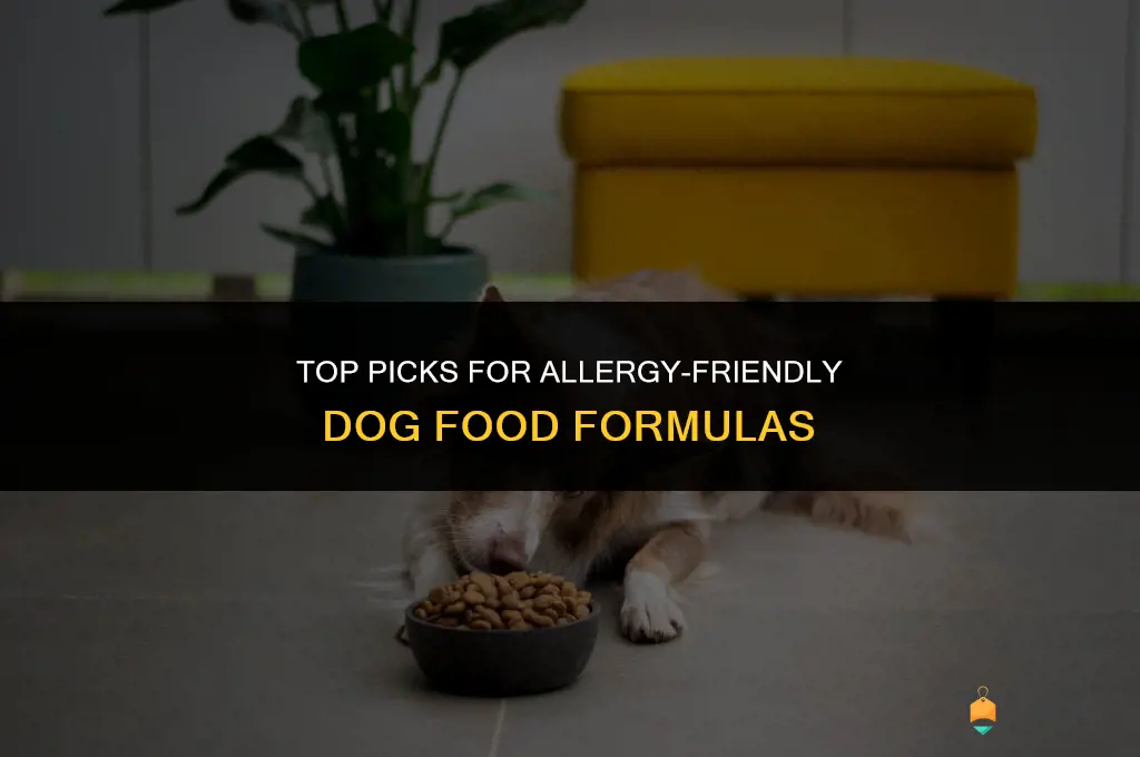 best allergy formula dog food