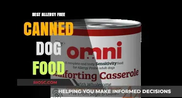 Top Picks for Allergy-Free Canned Dog Food: A Comprehensive Guide