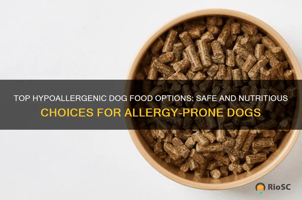 best allergy free dog food