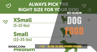 Top Picks for Alligator Dog Food: A Comprehensive Guide