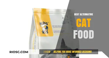 Exploring the Best Alternative Cat Food Options for Your Feline Friend