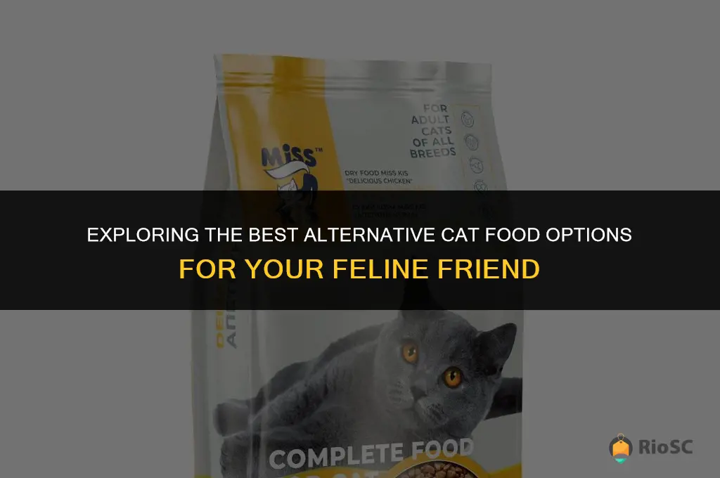 best alternative cat food