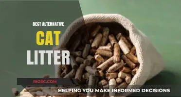 Eco-Friendly and Effective: Discover the Best Alternative Cat Litter Options for a Cleaner Home