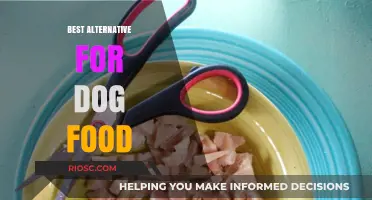 Exploring the Best Alternative Dog Food Options: A Comprehensive Guide for Pet Owners