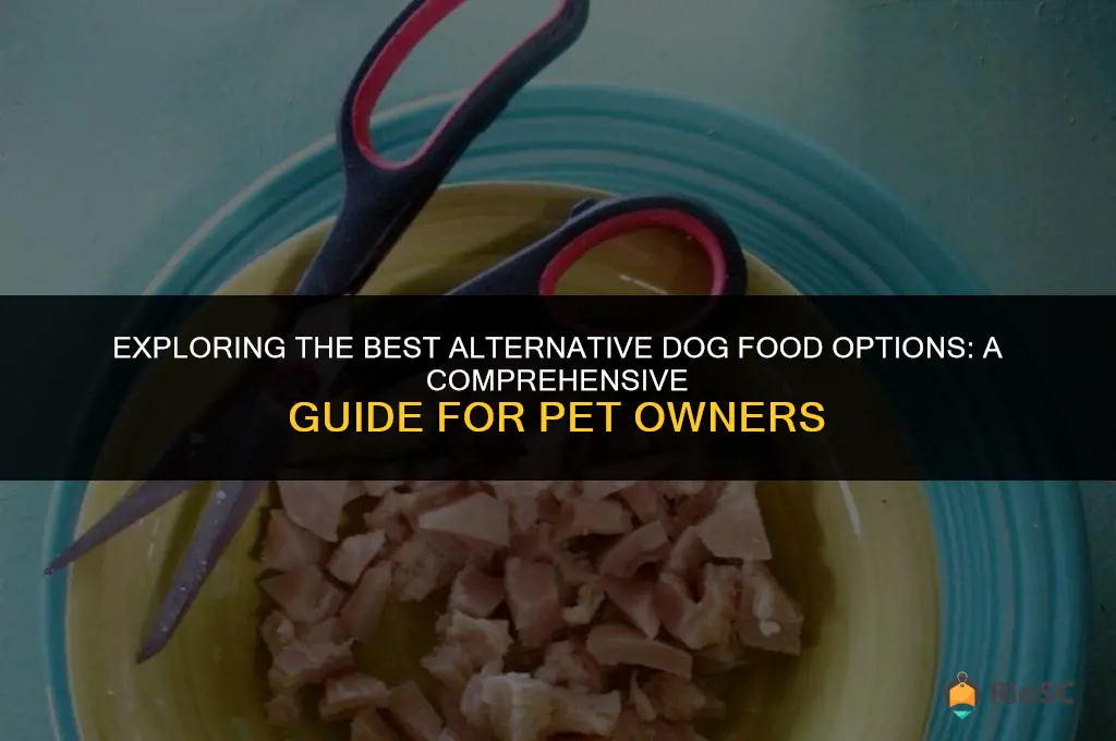 best alternative for dog food