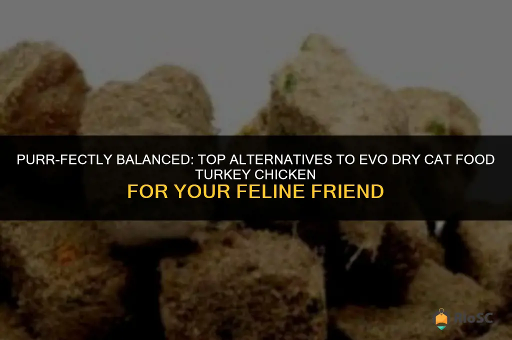 best alternative for evo dry cat food turkey chicken