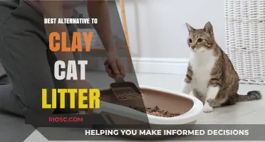 Eco-Friendly and Effective: Discover the Best Alternative to Clay Cat Litter