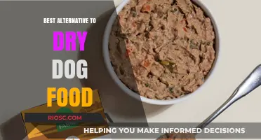 Exploring the Top Alternatives to Dry Dog Food: A Comprehensive Guide for Pet Owners
