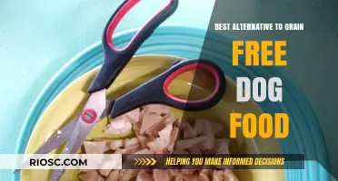 Exploring Nutritious Alternatives to Grain-Free Dog Food: A Comprehensive Guide for Pet Owners