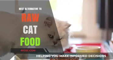 Exploring Nutritious Alternatives to Raw Cat Food: A Comprehensive Guide for Feline Health