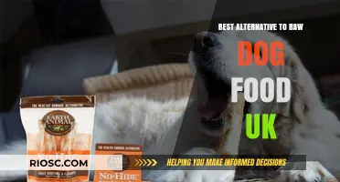 Exploring Top Alternatives to Raw Dog Food in the UK: A Comprehensive Guide for Pet Owners