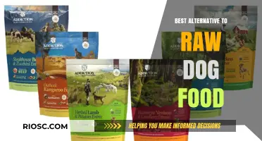 Exploring Nutritious Alternatives to Raw Dog Food: A Comprehensive Guide for Pet Owners