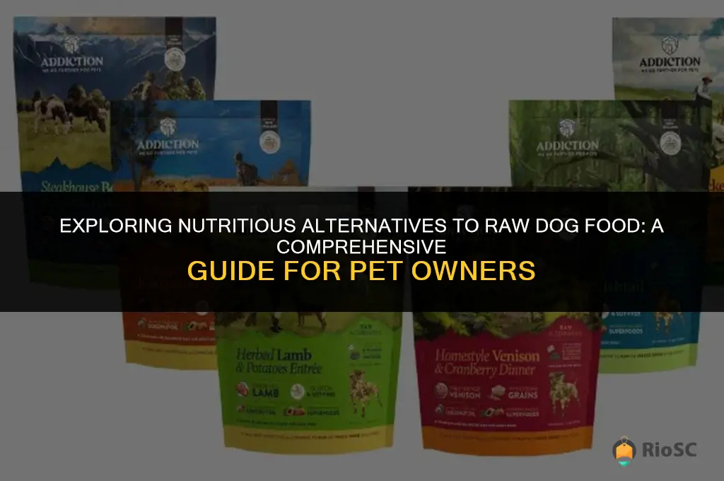 best alternative to raw dog food