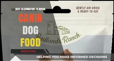 Exploring Premium Dog Food Alternatives to Royal Canin