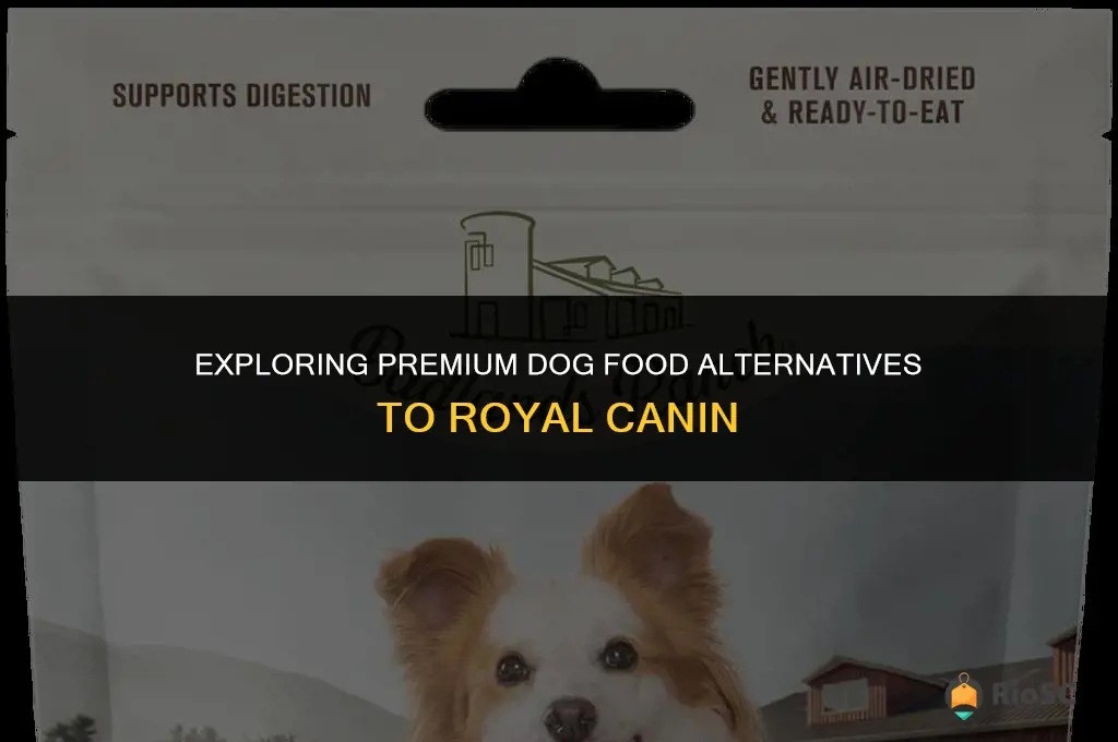 best alternative to royal canin dog food