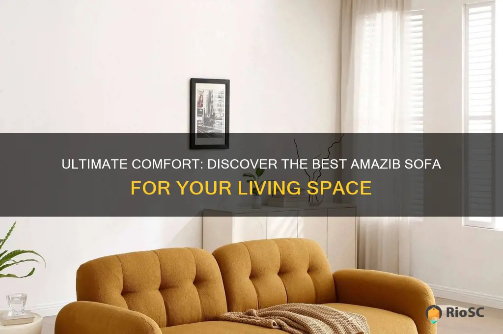 best amazib sofa