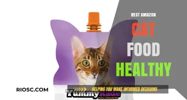 Top Picks for Healthy Cat Food on Amazon: Nourishing Your Feline Friend