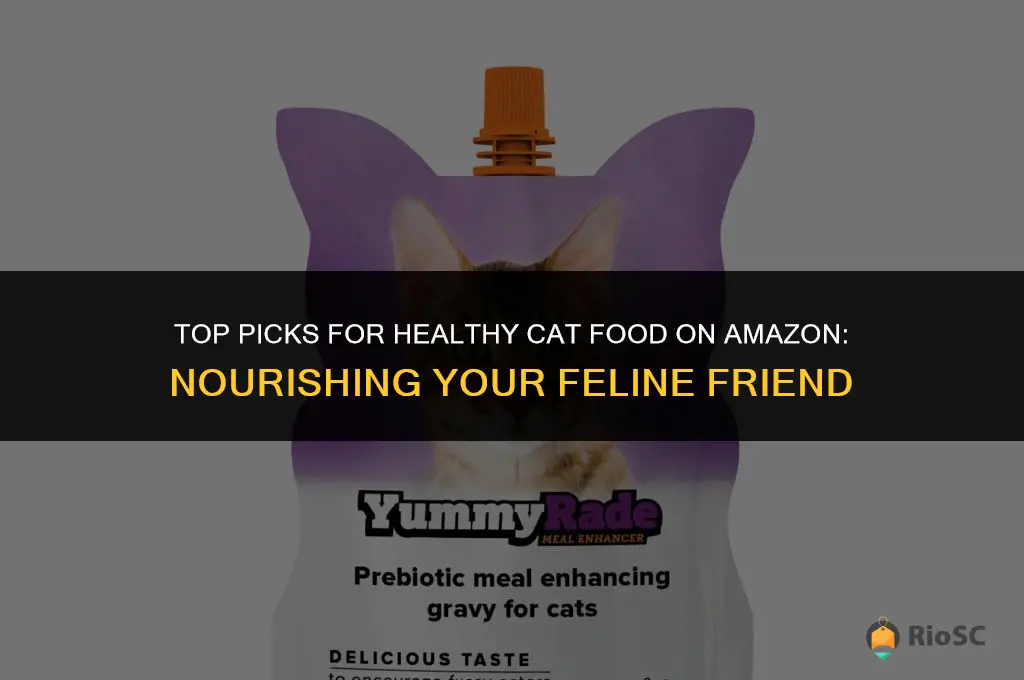 best amazon cat food healthy
