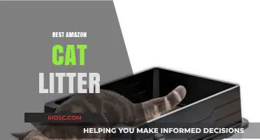 Top Picks for the Best Amazon Cat Litter: Keep Your Feline Friend Happy and Your Home Fresh