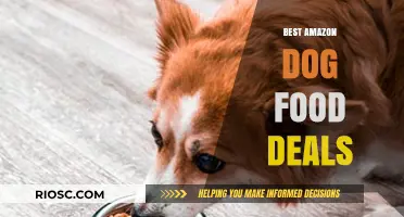 Unleash the Savings: Top Dog Food Deals on Amazon This Month