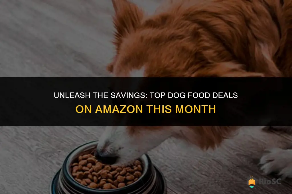 best amazon dog food deals