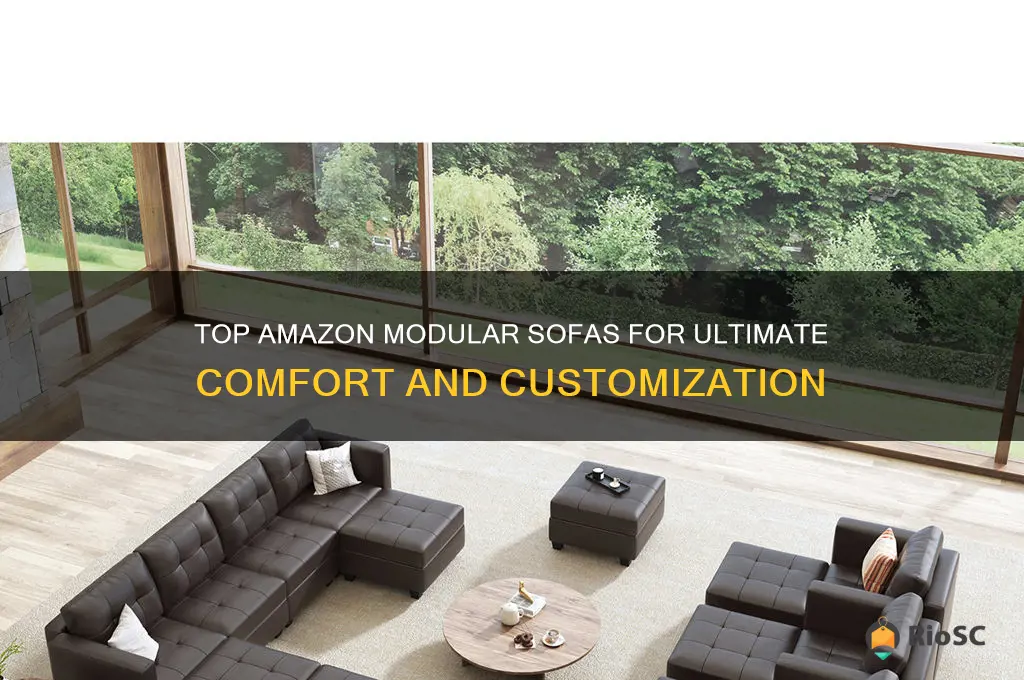 best amazon modular sofa