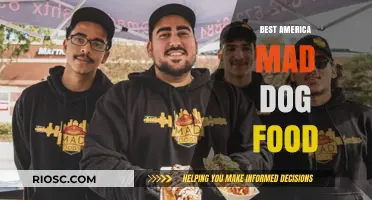Top-Rated American Mad Dog Food: A Comprehensive Guide to Quality Nutrition for Your Furry Friend