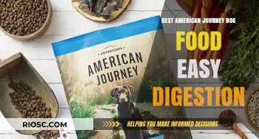 Optimal Nutrition for Your Furry Friend: Best American Journey Dog Food for Easy Digestion