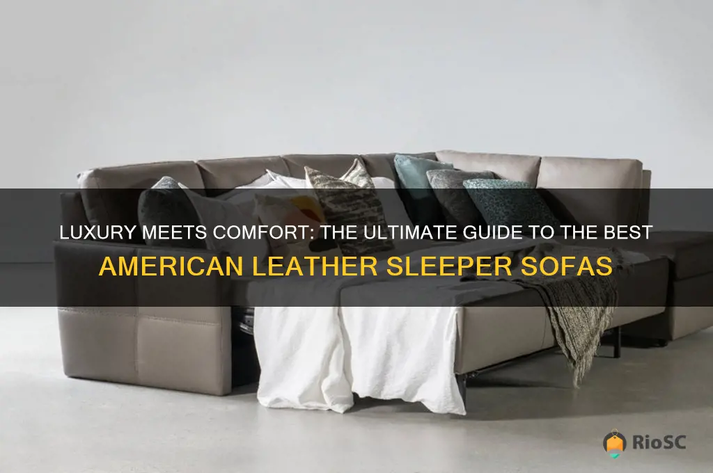 best american leather sleeper sofa