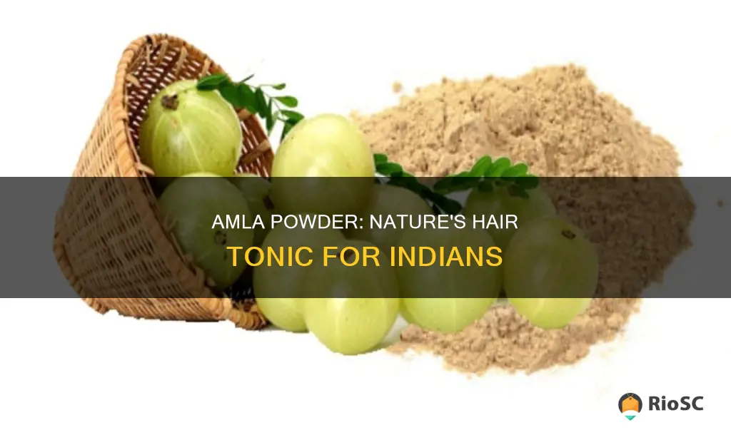 best amla powder for hair in india