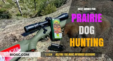 Top Ammo Choices for Prairie Dog Hunting: Precision and Performance for the Perfect Shot