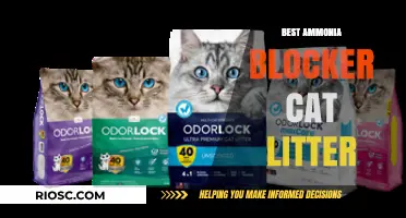 Top Ammonia-Blocking Cat Litter Options for a Fresher Home