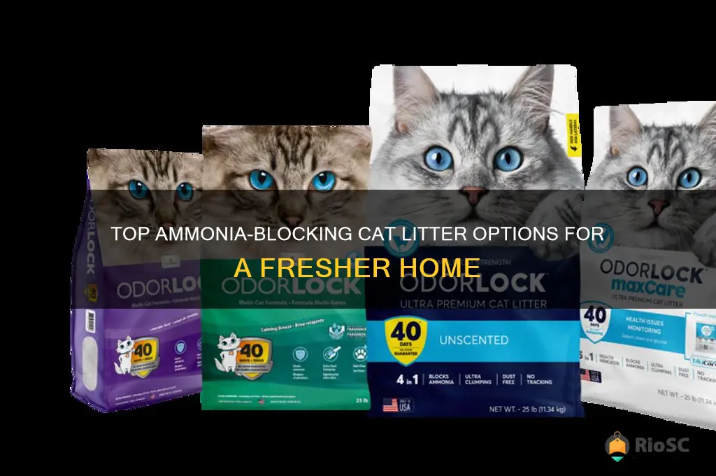 best ammonia blocker cat litter